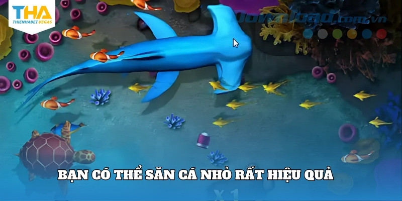 Bạn có thể săn cá nhỏ rất hiệu quả