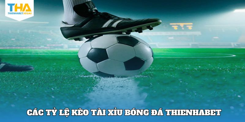 Các tỷ lệ tài xỉu thịnh hành trong cá độ bóng đá